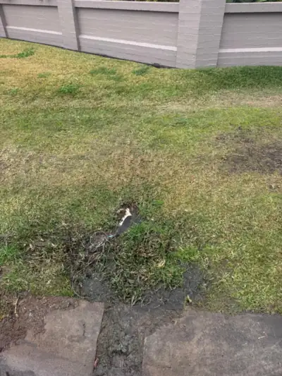 Water pooling on the front lawn from a failed stormwater line, before the upgrade to steel pipe