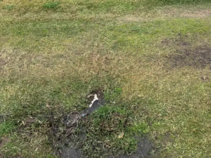 Water pooling on the front lawn from a failed stormwater line, before the upgrade to steel pipe