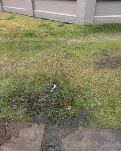 Water pooling on the front lawn from a failed stormwater line, before the upgrade to steel pipe