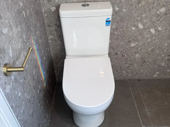 New back-to-wall toilet suite installed in a renovated bathroom
