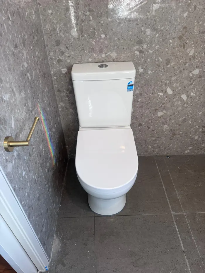 New back-to-wall toilet suite installed in a renovated bathroom